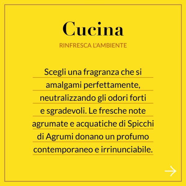 Diffusore per Ambienti Spicchi d'Agrumi - Helan - immagine 5